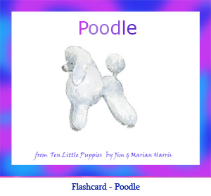 Poodle Dog Flashcard– with breed name